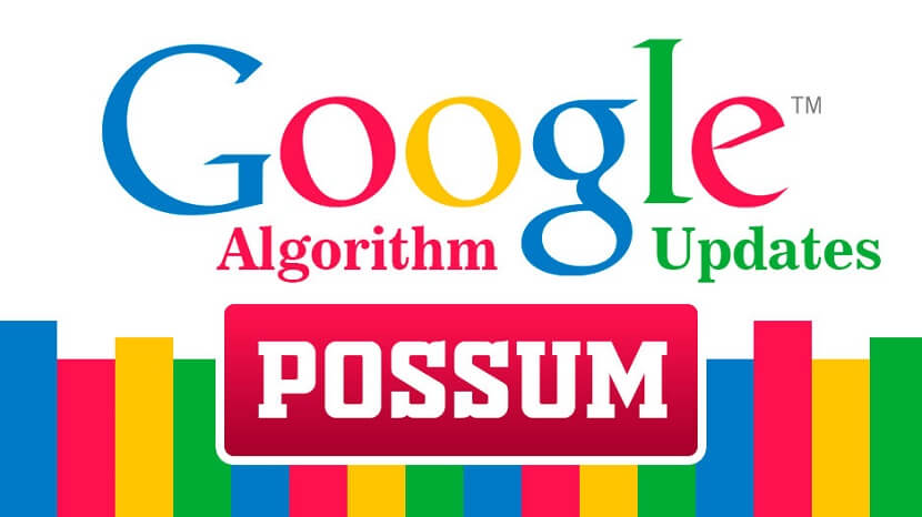 Possum Google Algorithm Update