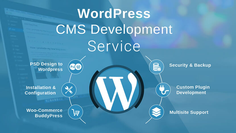 Professional Wordpress Development Service